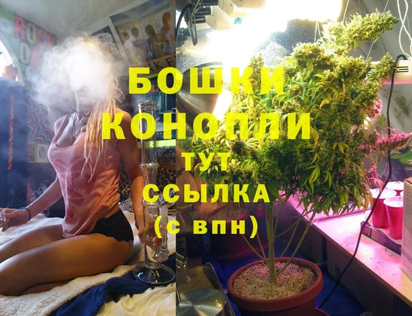 ПСИЛОЦИБИНОВЫЕ ГРИБЫ Арсеньев