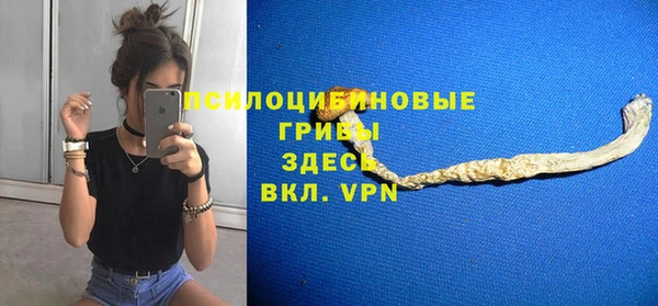 мяу мяу мука Покачи