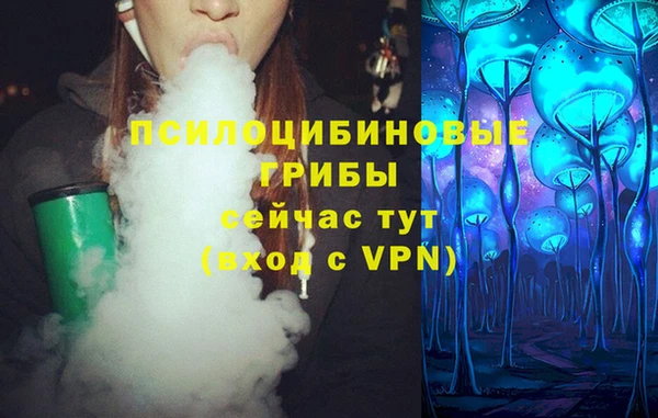 ПСИЛОЦИБИНОВЫЕ ГРИБЫ Арсеньев