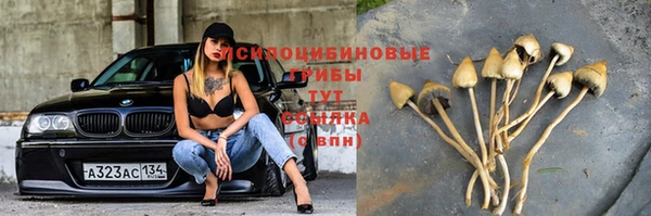 мяу мяу мука Аркадак
