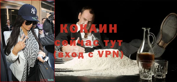ПСИЛОЦИБИНОВЫЕ ГРИБЫ Арсеньев
